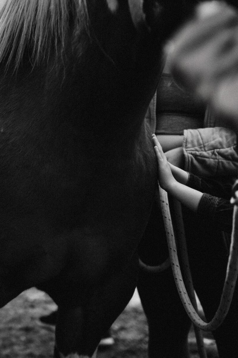 LOS ANGELES -- MARCH 16, 2025: Kiki Ebsen teaches her Natural Equine Interactive Growth and Healing class in Agoura Hills on Sunday, March 16, 2025. (Jennifer McCord / For The Times)