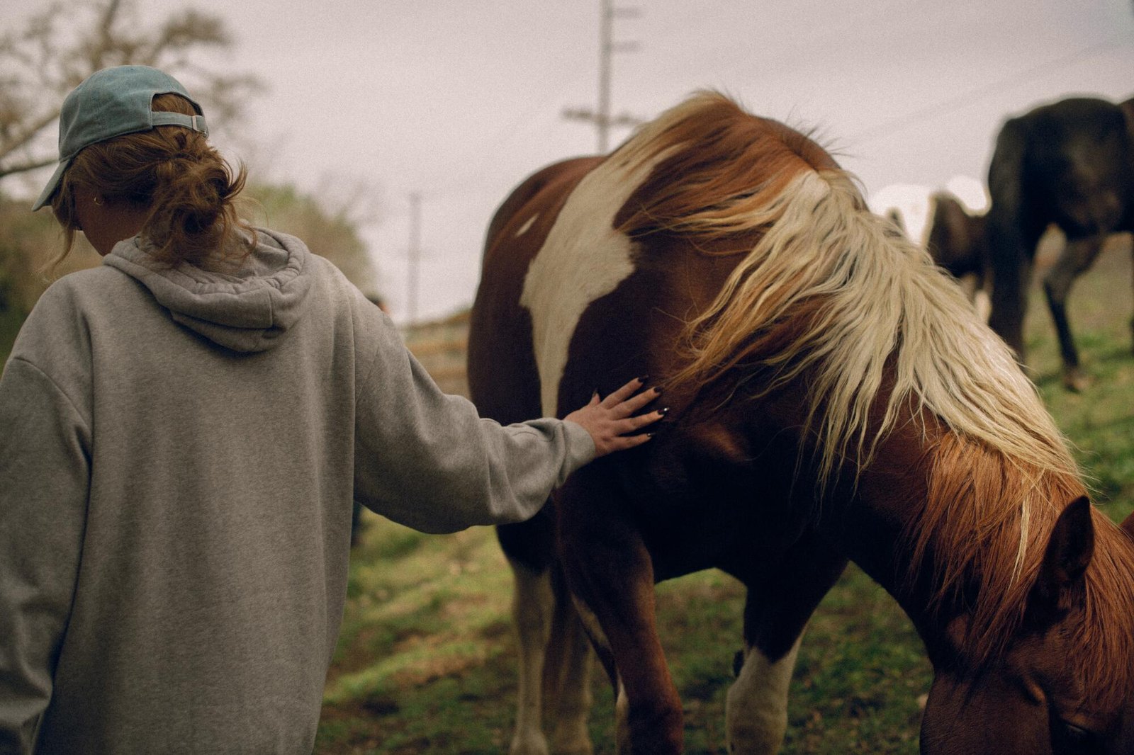 One of Kiki Ebsen’s helpers gently encourages a horse to move into the paddock.