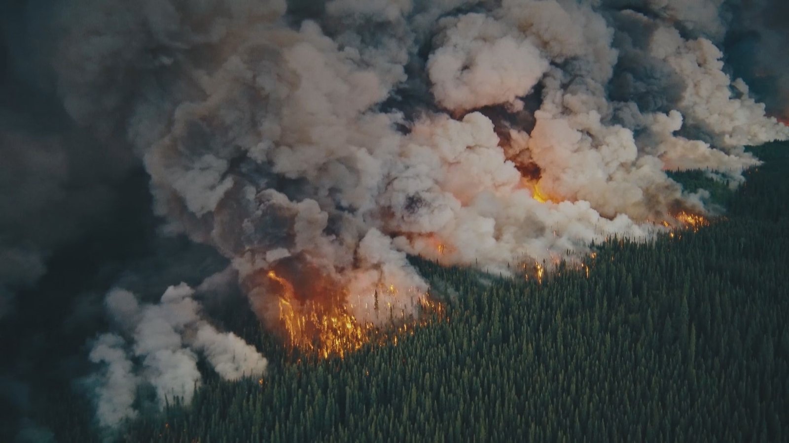 Click to play video: 'Documentary series goes behind worst B.C. wildfire season on record'