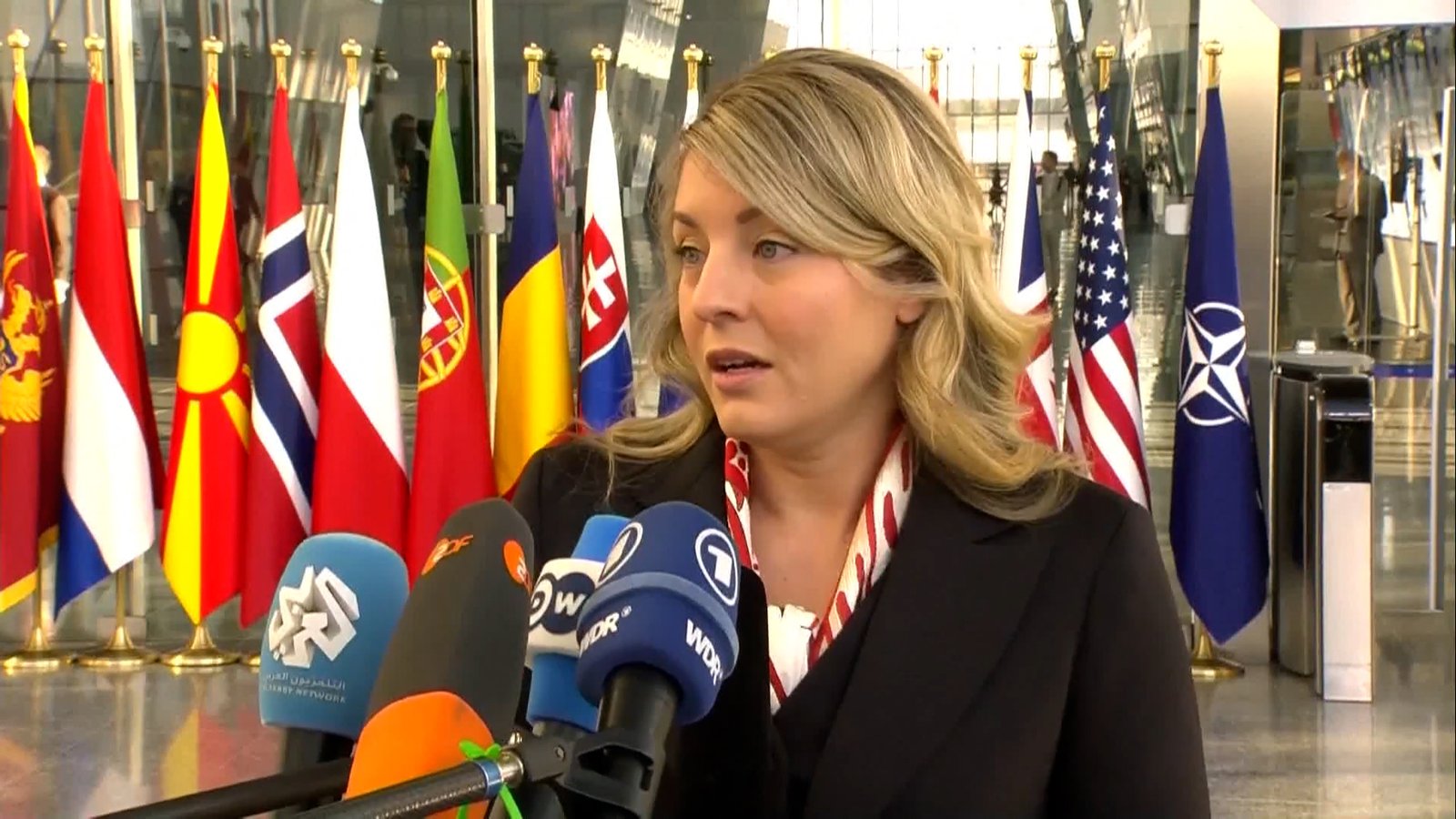 Click to play video: 'Canada-US relationship ‘will never be the same’ after Trump tariffs, Joly warns'