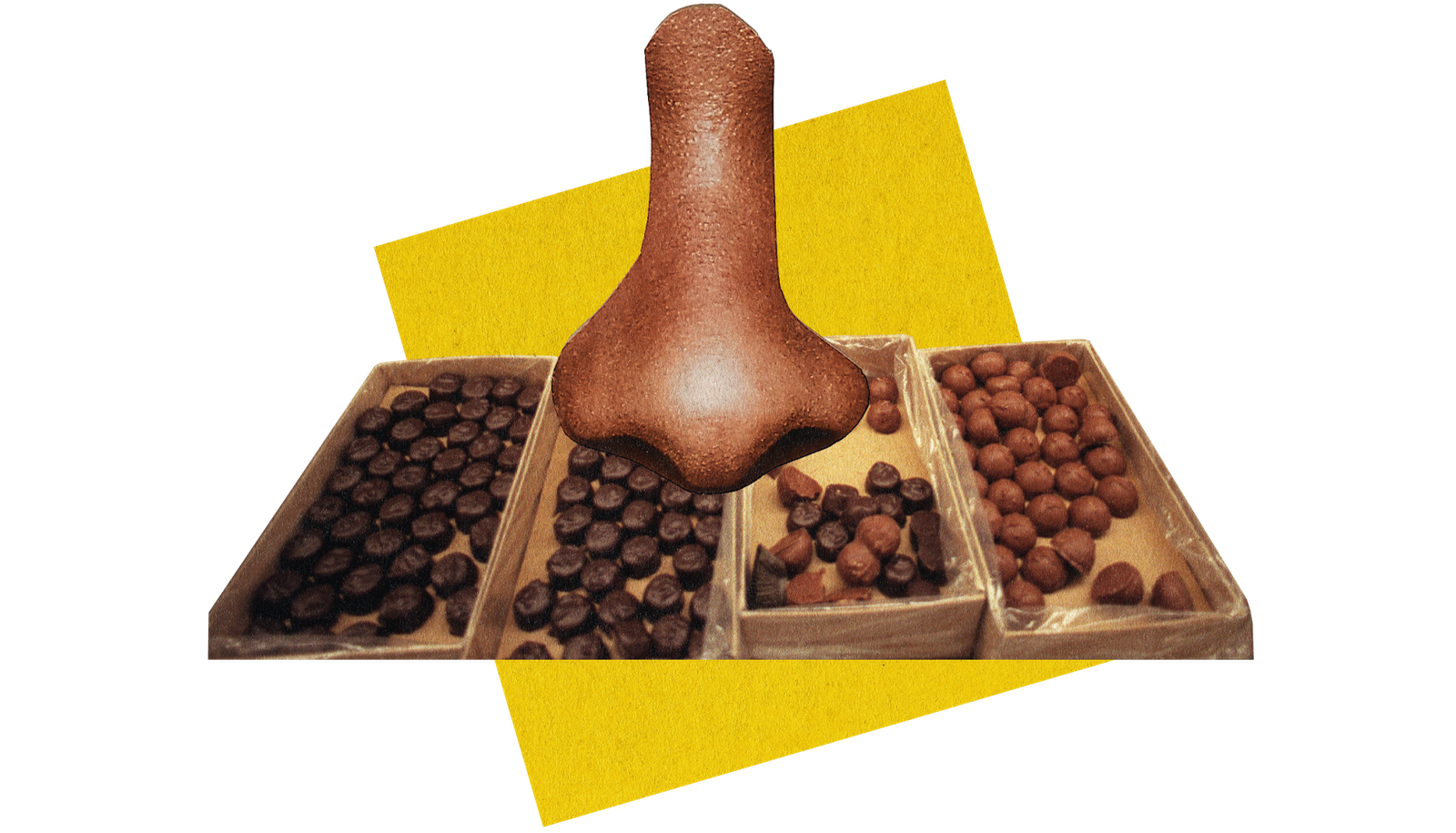 photo collage illustration of See's candies and a nose with a yellow square