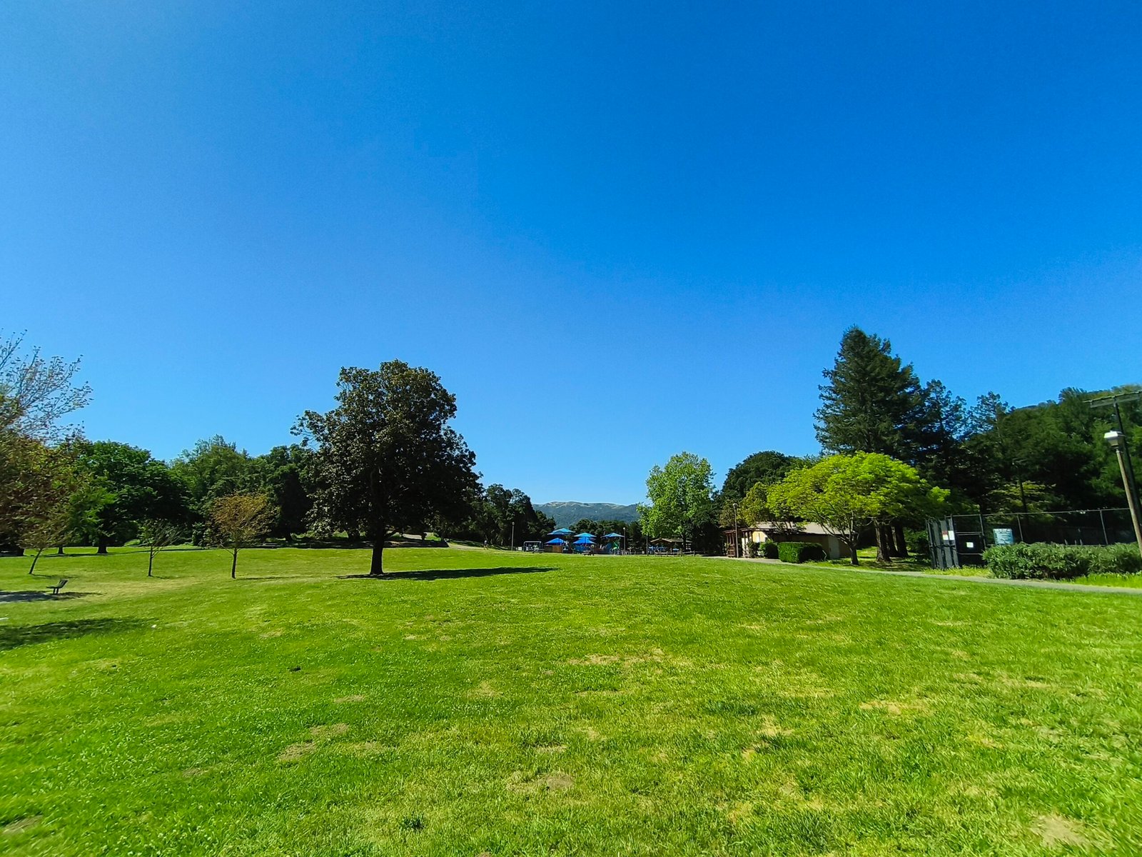 0.6x in daylight Camera 2