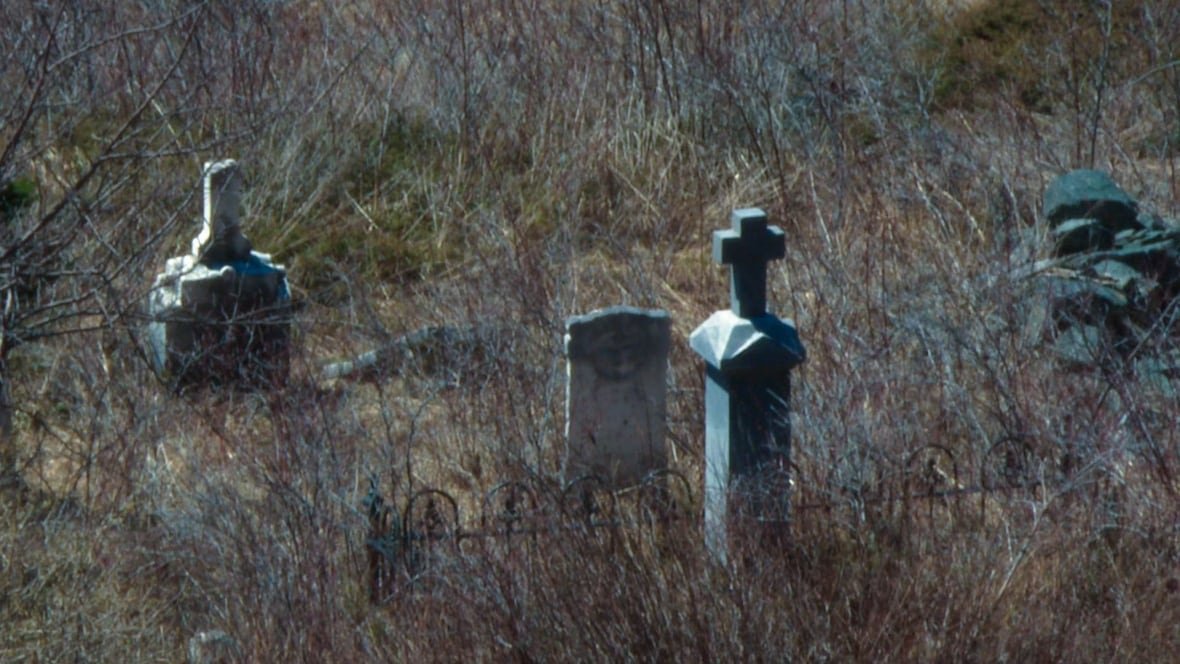 Old gravestones lie in an grown over field