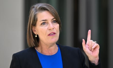 Nationals senator Perin Davey.