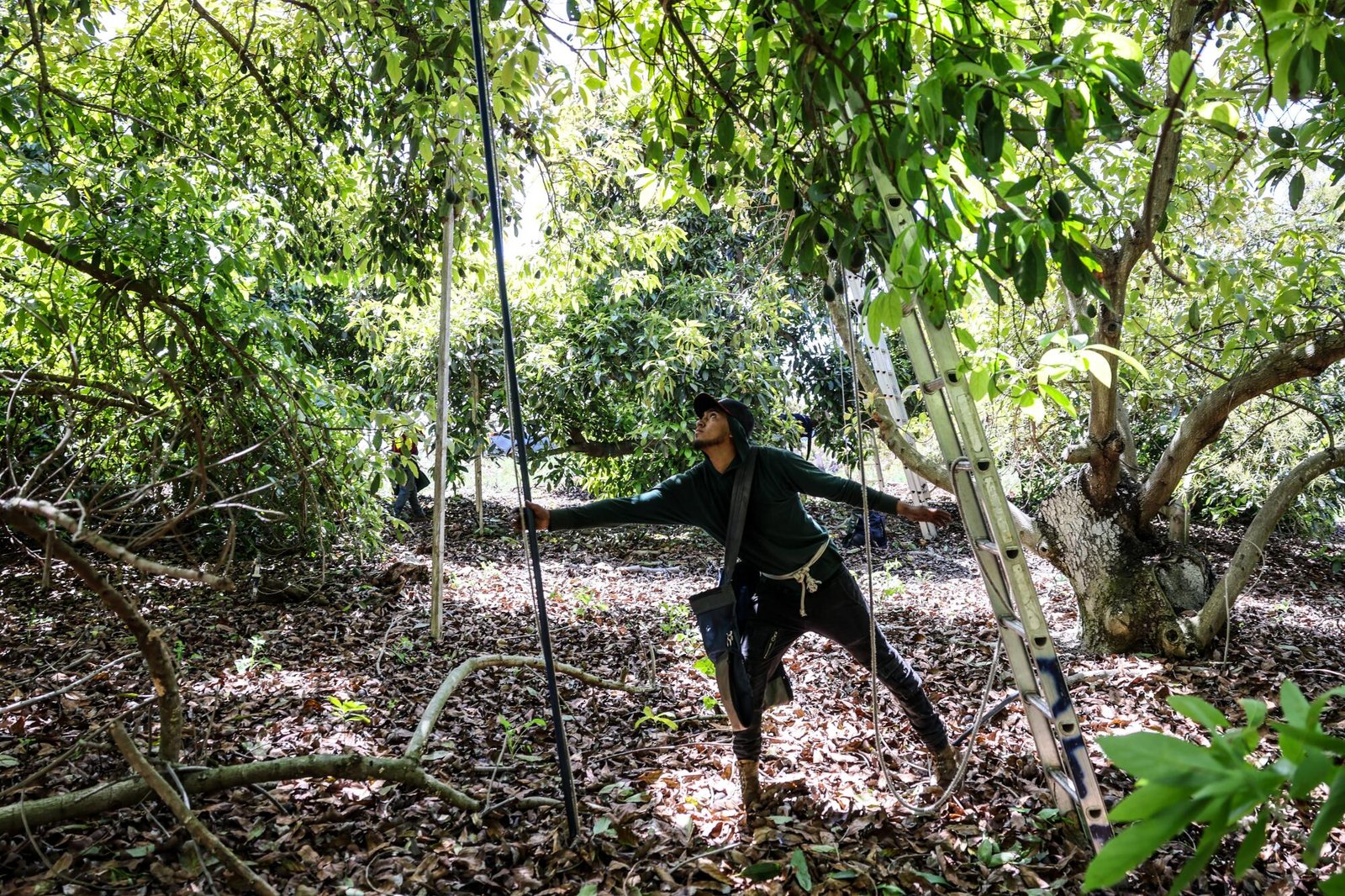 A worker prepares to climb a ladder.