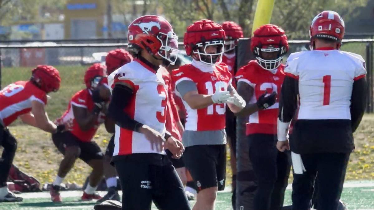 Click to play video: 'Quarterback Shakeup: Stampeders usher in new era with Vernon Adams and PJ Walker'