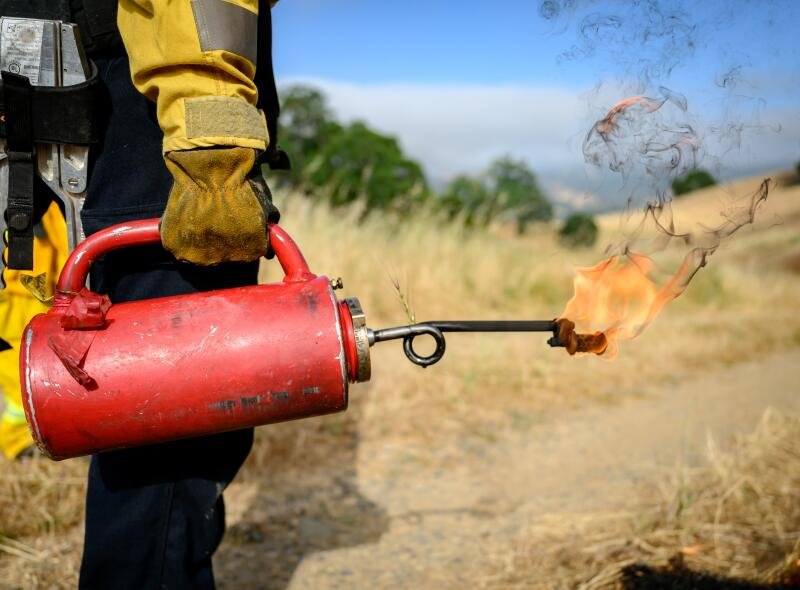 A firefighter holds a blazing torch on a grassy hillside.