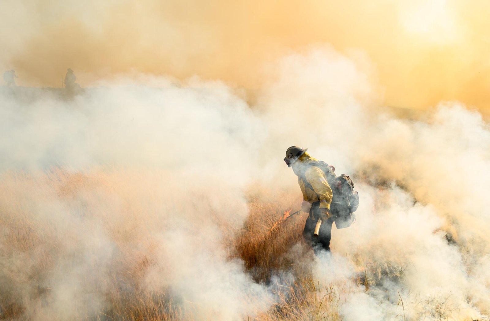 A firefighter in protective gear is engulfed in smoke as he works a prescribed burn.