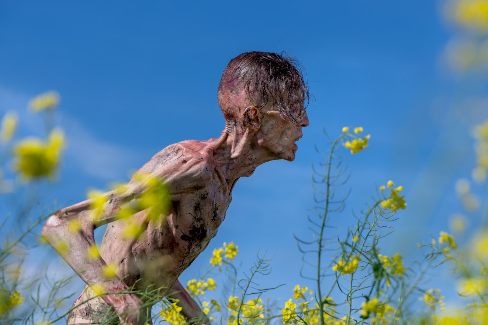 A rotting, skeleton man sitting up in a field full of yellow flowers.