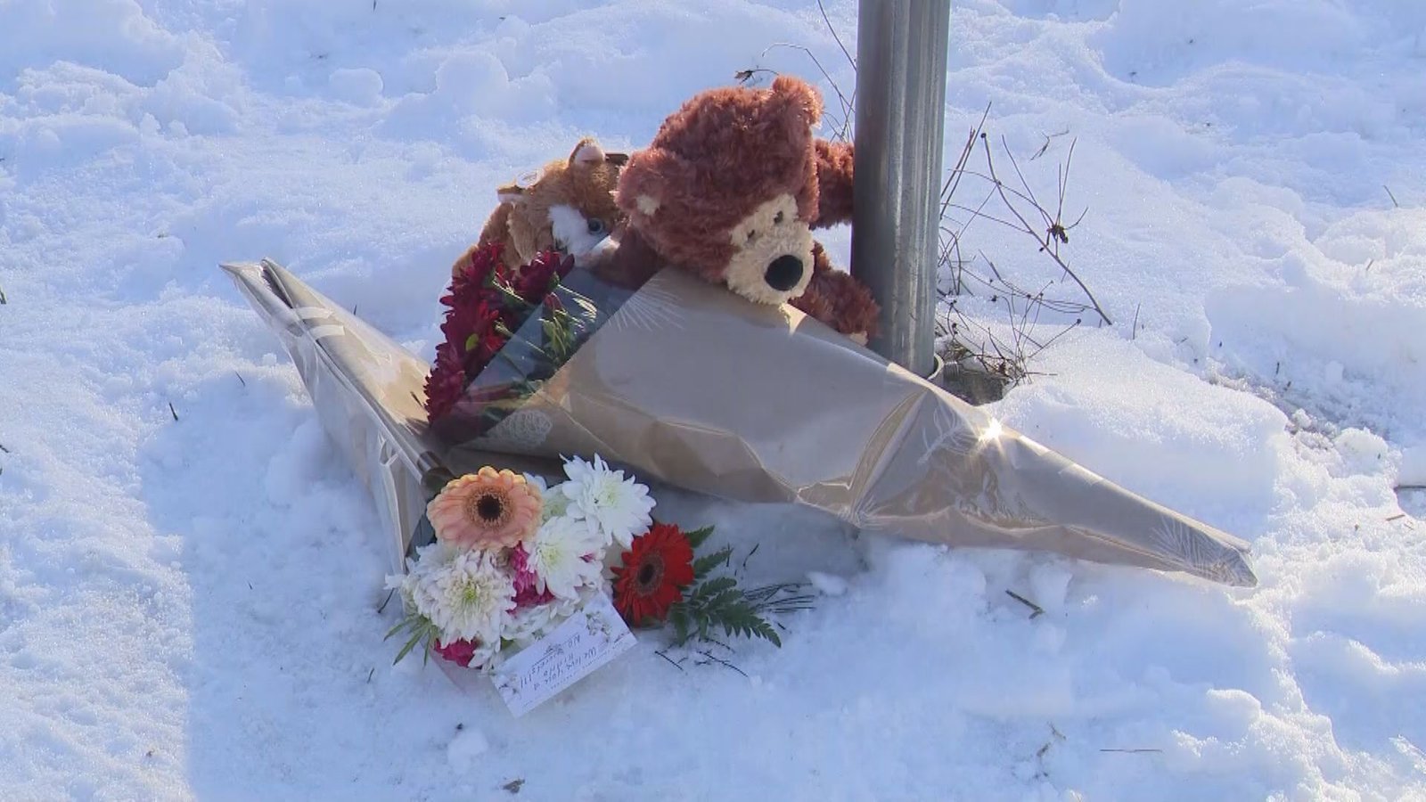 Click to play video: 'Surrey teen shot and killed by police'