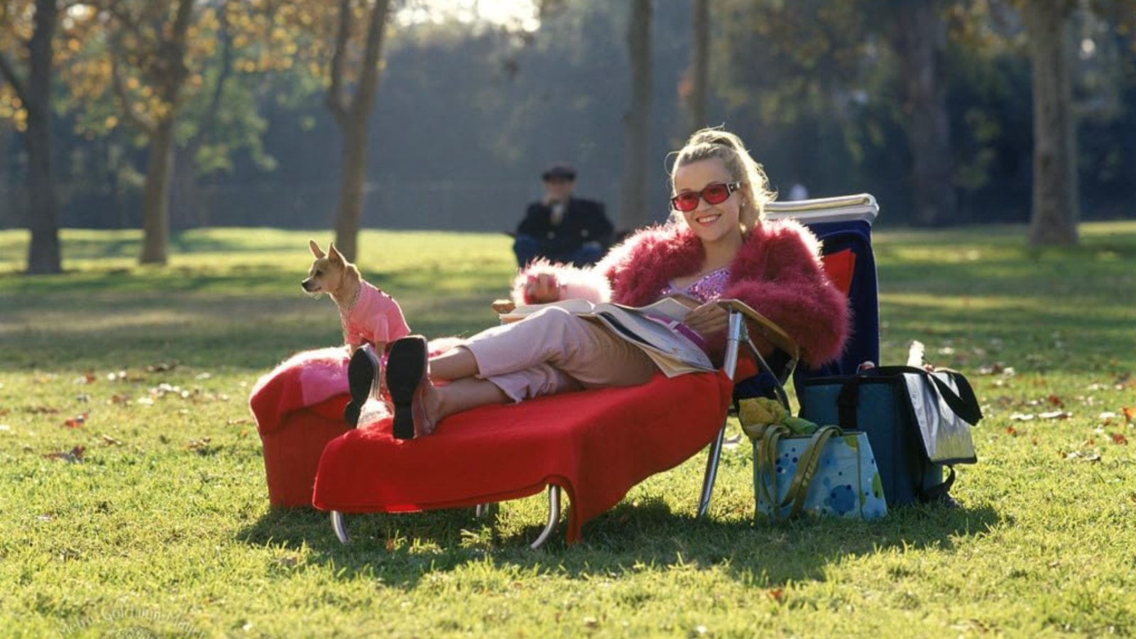 Elle Woods lounges in a chair in Legally Blonde