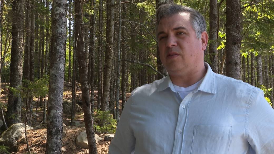 Click to play video: 'N.S. unable to lay charges in 2023 wildfire despite ‘exhausting all possible avenues’'