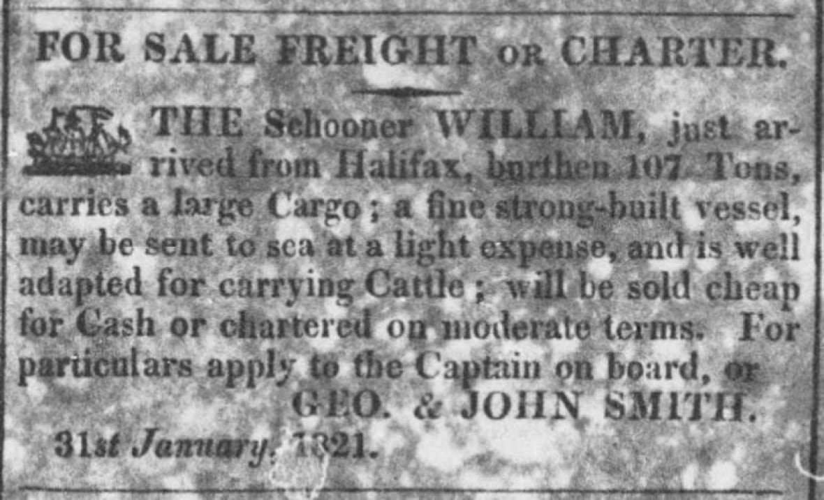 A newspaper classified advertisement offering a schooner for sale "suitable for cattle."
