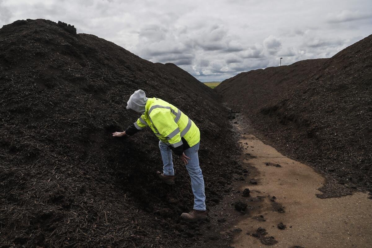 Kettleman City, CA, Thursday, March 30, 2023 - Tulare Lake Compost facility superintendent Richard Kish digs for a sample of processed compost. The 175 acre plant is located on the Western edge of the Tulare Lake basin and is prepared to handle a rise of up to five feet in the water table level. (Robert Gauthier/Los Angeles Times)