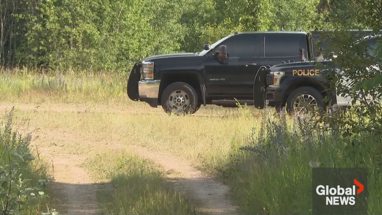 Click to play video: '‘A miracle’ Ontario child survived brutal Quadeville assault, police say'