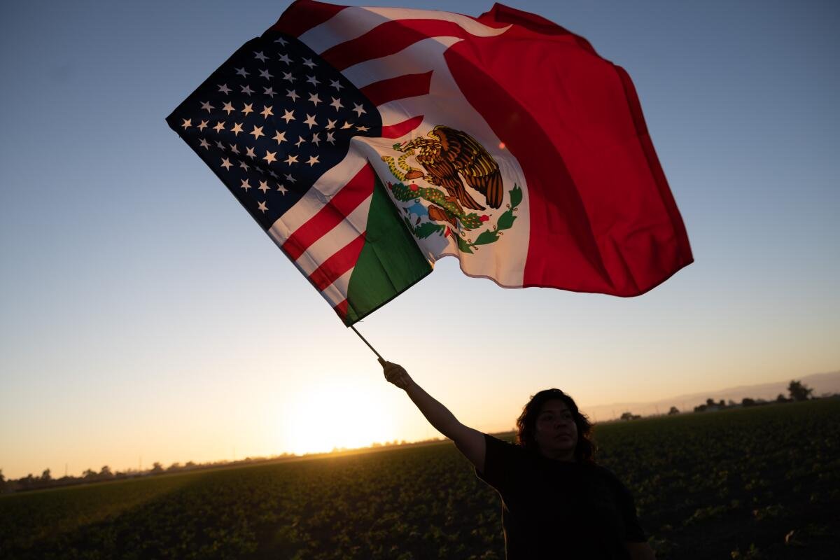 A person waves a flag at sunset