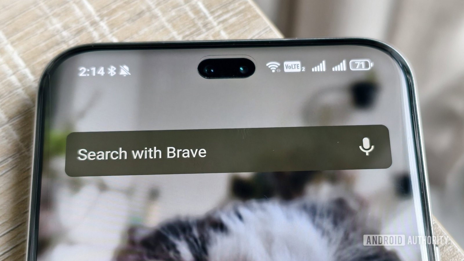 the brave search widget on a smartphone home screen the brave search widget on a smartphone home screen
