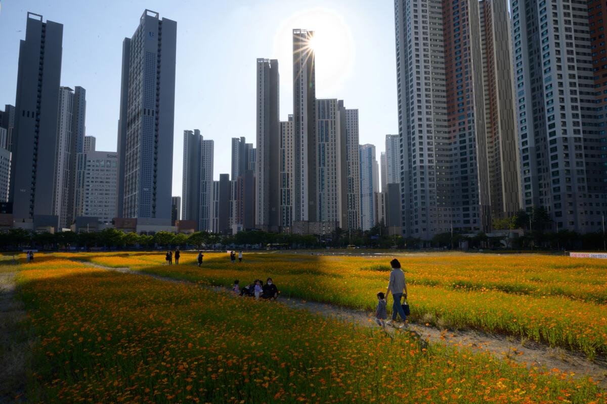 In South Korea, the detached single-family home is, for the most part, obsolete. In Seoul, such homes now make up just 10% of the housing stock.