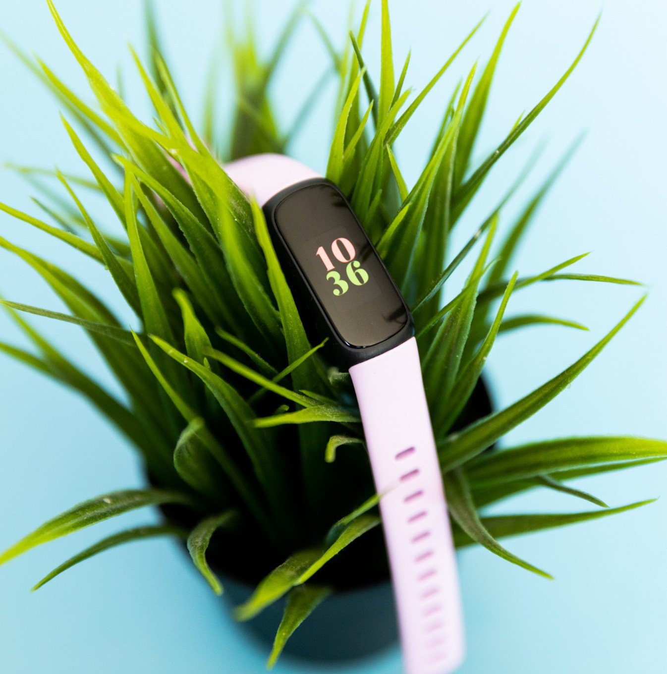 The Fitbit Inspire 3 on top of a plant