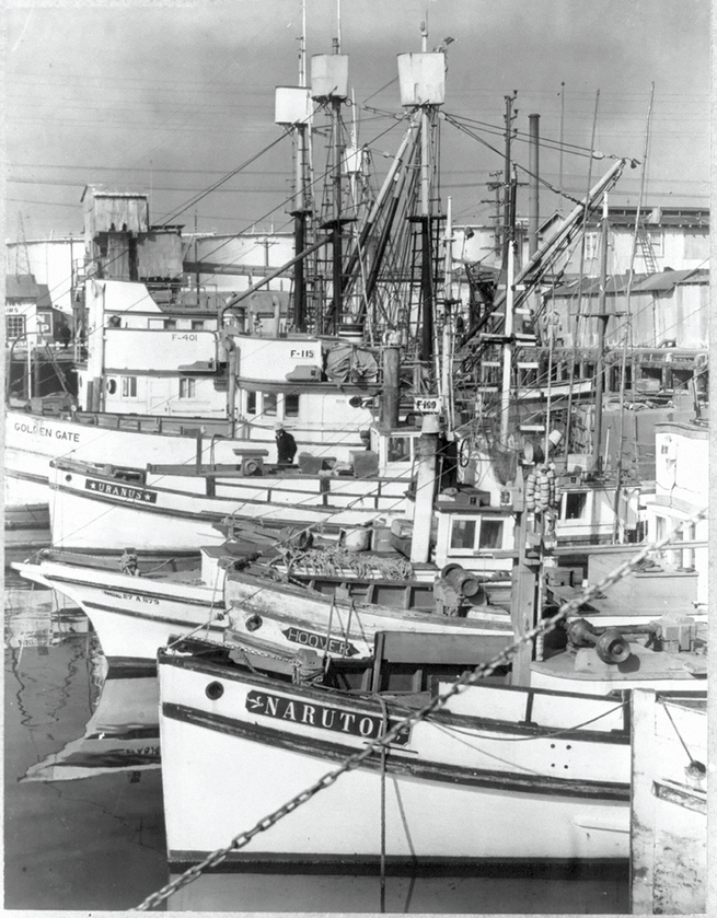 black-and-white photo of numerous masted fishing boats in a harbor