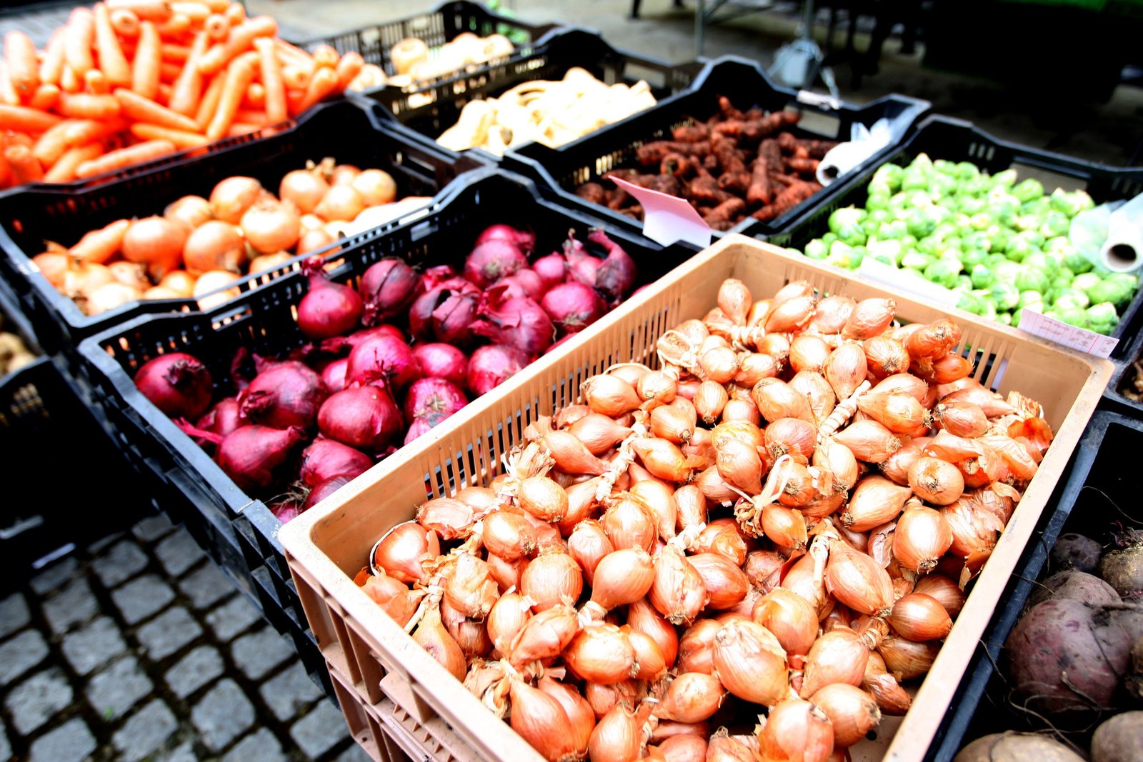 The study found that certain healthy diets can reduce risk of type 2 diabetes