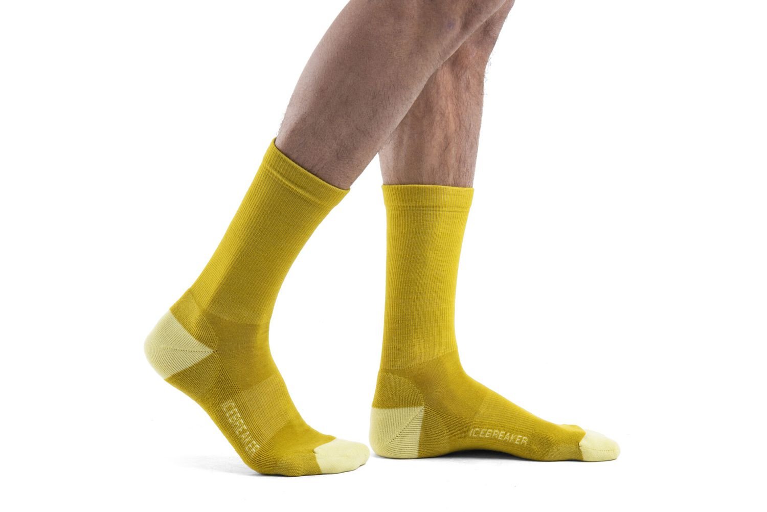 Icebreaker Merino Men's Lifestyle Crew Light Cushion Casual Wool Socks