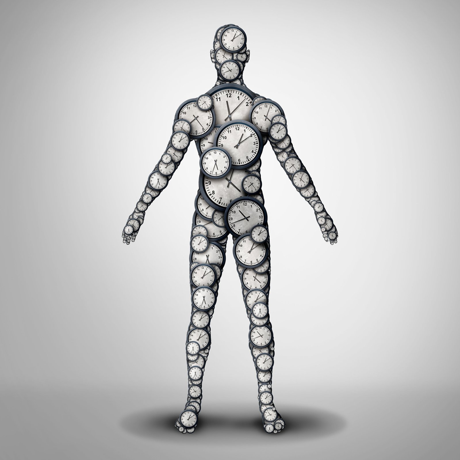 The body’s cells, tissues and organs all have different ‘clocks’ ticking at different speeds