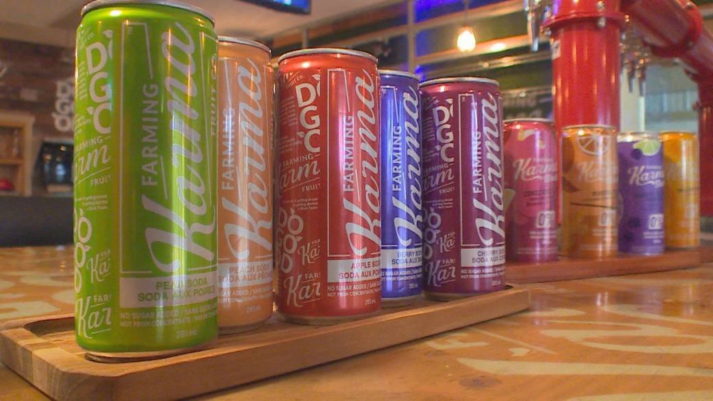 Click to play video: 'Kelowna growers turning to agri-tourism'