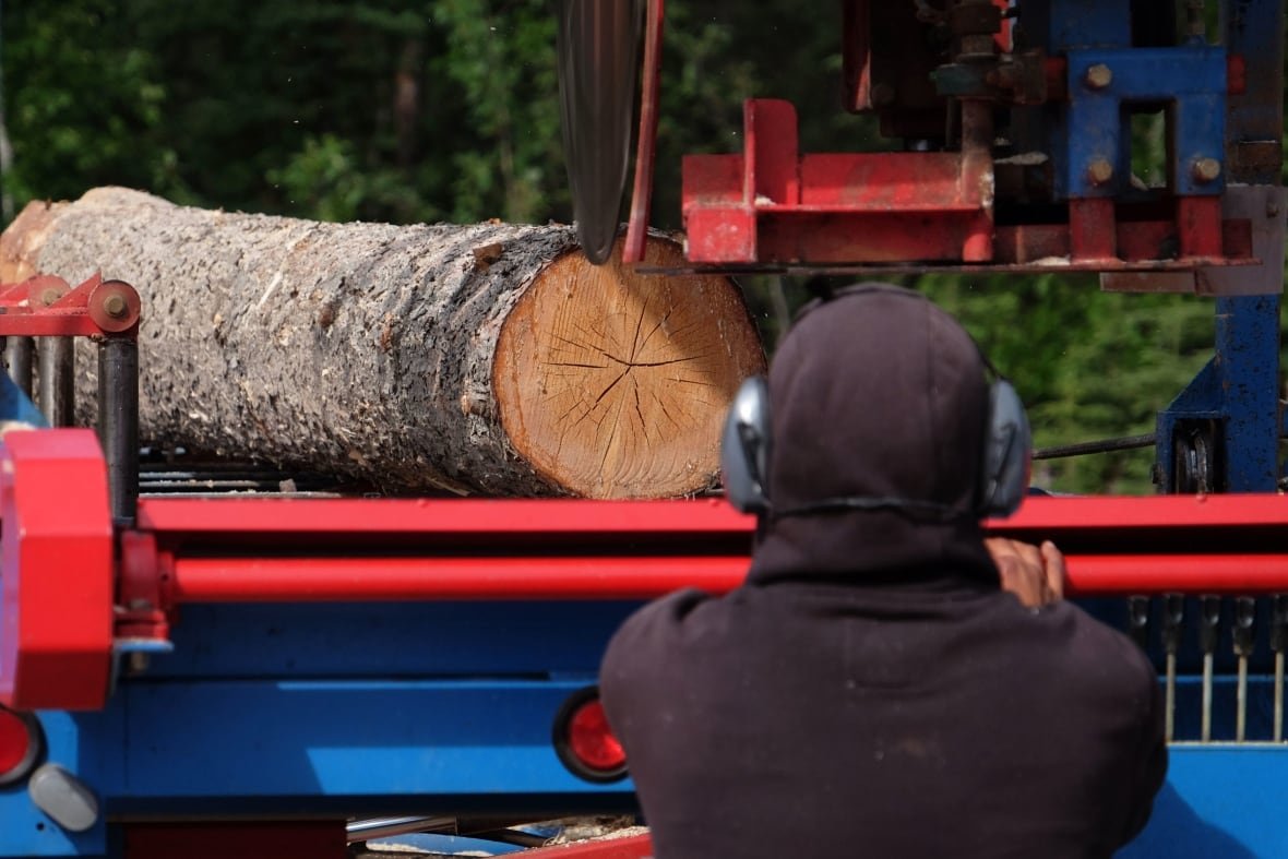 A forestry worker examines a cut log on the back of a red flatdeck truck.