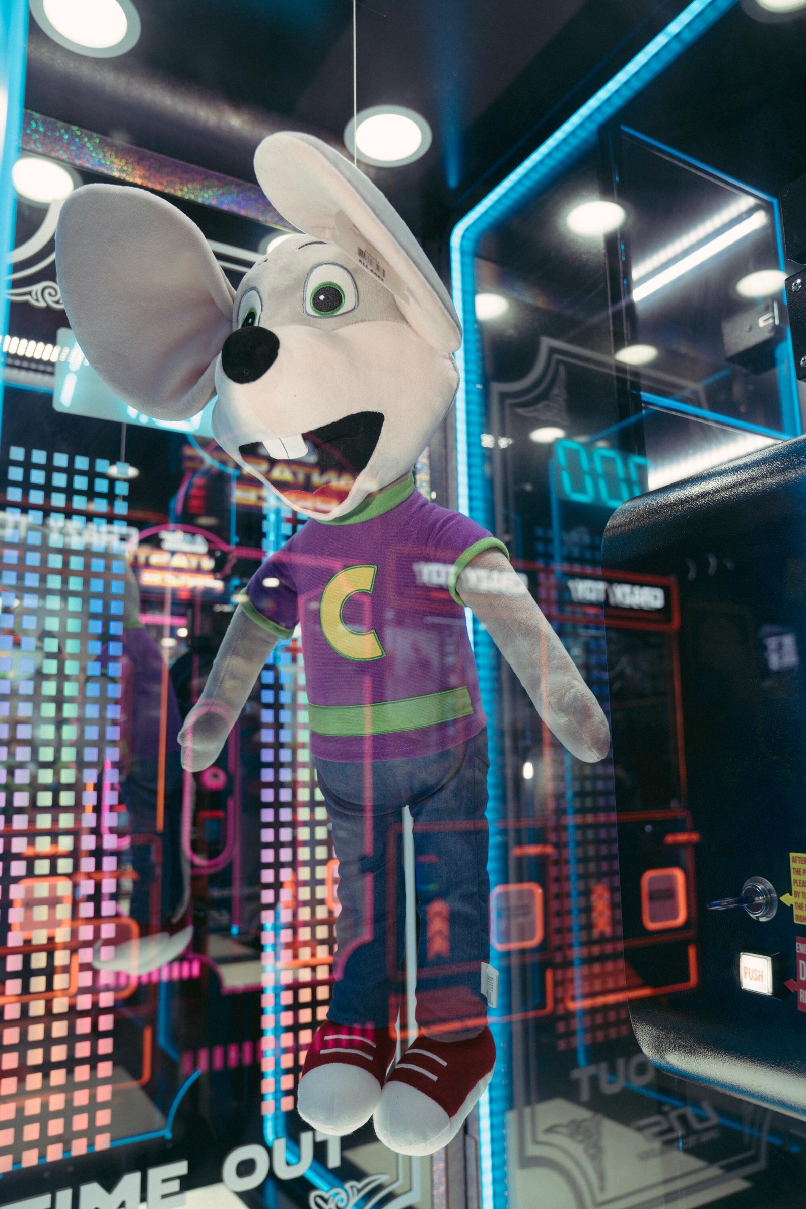 A dog plushie in a game.