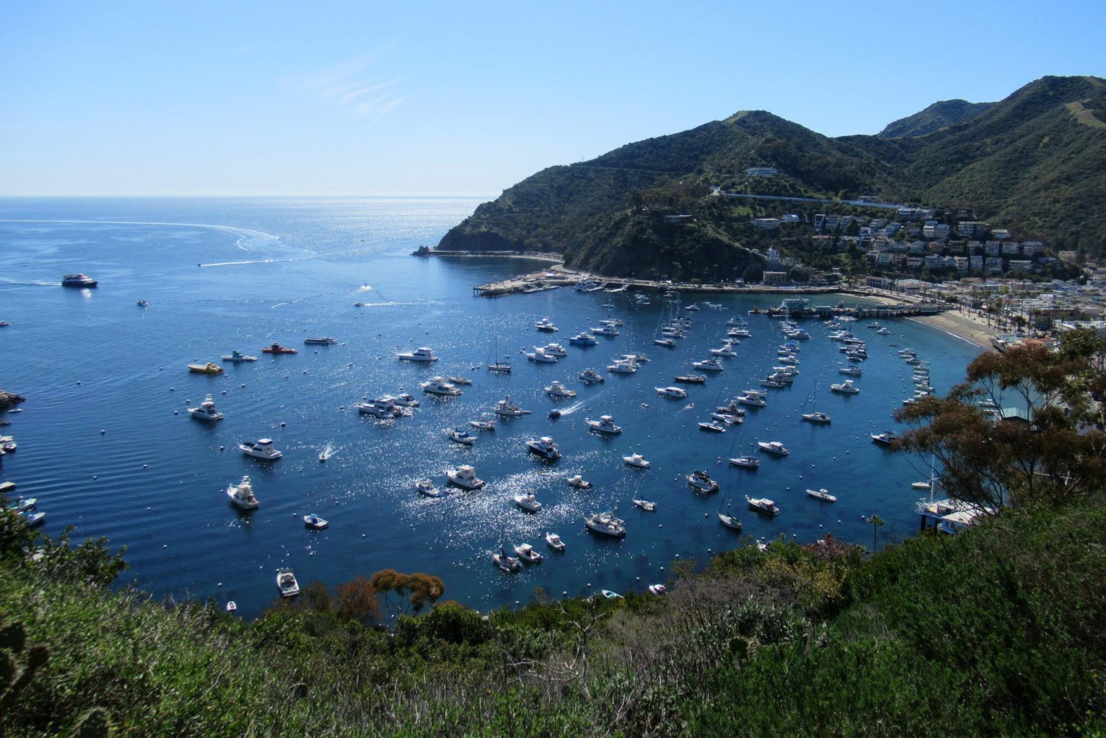 A view of the boats in the Avalon harbor.