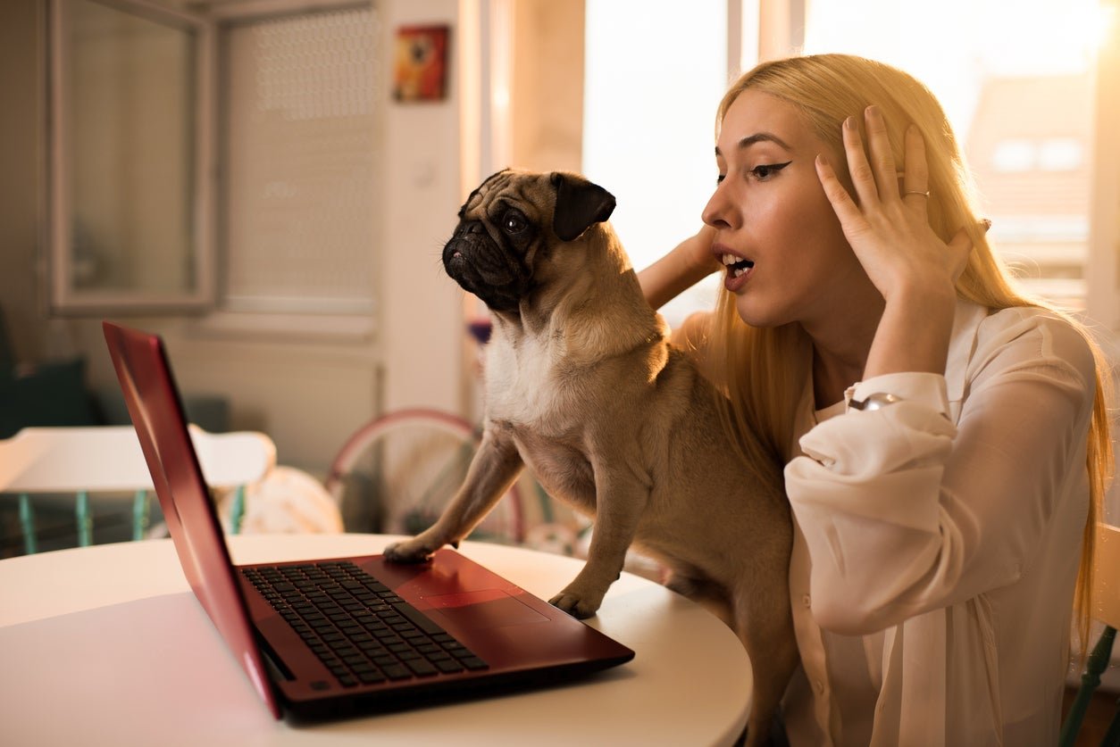 An element of pet ownership that people often don’t talk about is the stress, and often shame, that owners with reactive dogs experience.