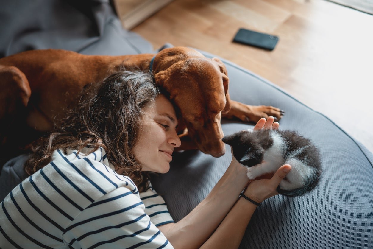Pets can provide constant companionship for individuals and families